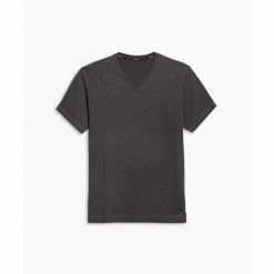 Public Rec Go-To V | Men's Heather Charcoal T-Shirts